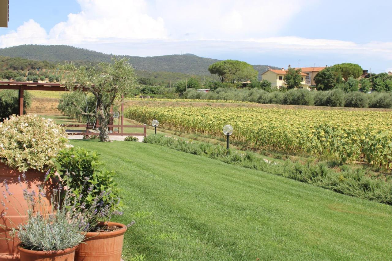 Agriturismo Il Vecchio Mandorlo Castiglione della Pescaia Dış mekan fotoğraf