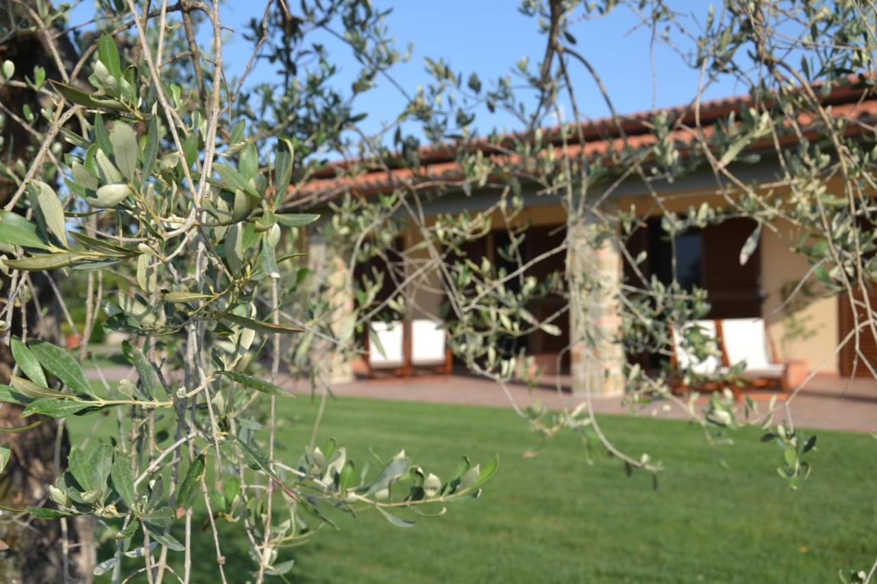 Agriturismo Il Vecchio Mandorlo Castiglione della Pescaia Dış mekan fotoğraf
