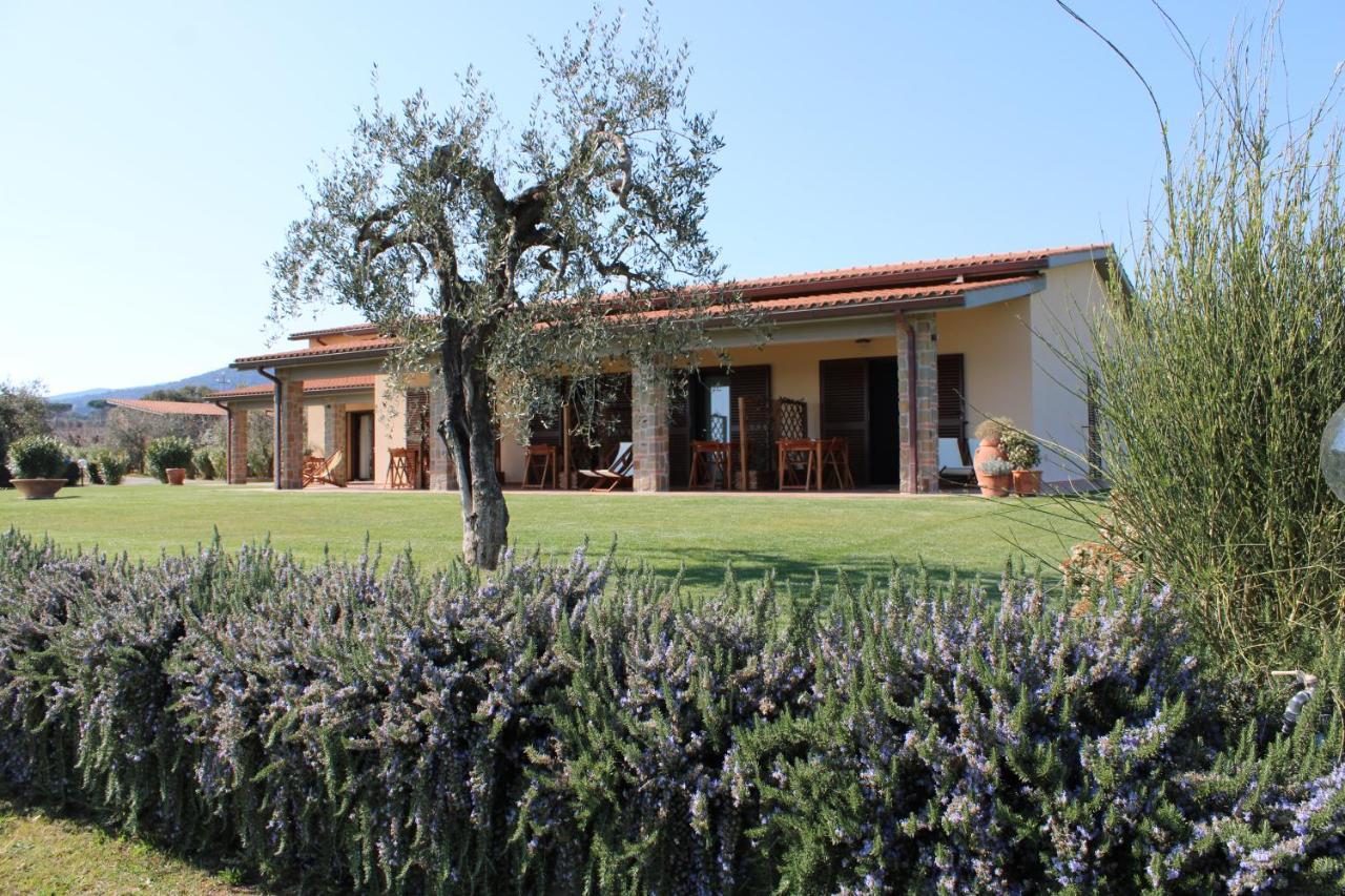 Agriturismo Il Vecchio Mandorlo Castiglione della Pescaia Dış mekan fotoğraf